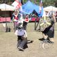 View the image: IMG_4539
