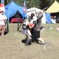 View the image: IMG_4547