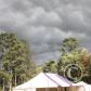 View the image: Img_3951
