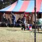 View the image: Img_4000