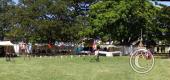 View the Album: Musgrave Park Sept 2008
 100 images
