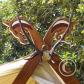 View the image: OLYMPUS DIGITAL CAMERA