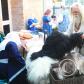 View the image: IMG_0866
