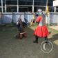 View the image: IMG_0870
