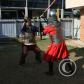 View the image: IMG_0890