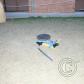 View the image: IMG_0940