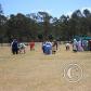 View the image: IMG_7856