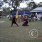 View the image: DSC00025