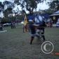 View the image: DSC00029