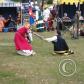View the image: OLYMPUS DIGITAL CAMERA