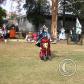 View the image: OLYMPUS DIGITAL CAMERA