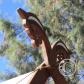 View the image: IMG_7711