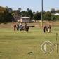 View the image: IMG_7002