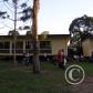 View the image: OLYMPUS DIGITAL CAMERA