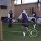 View the image: OLYMPUS DIGITAL CAMERA