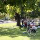 View the image: IMG_1809a