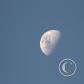View the image: IMG_1856ab